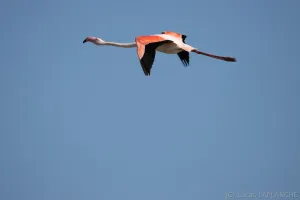 01102025-IMG_7001.jpg