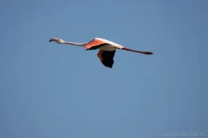01102025-IMG_7002.jpg