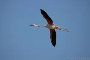 01102025-IMG_7004.jpg