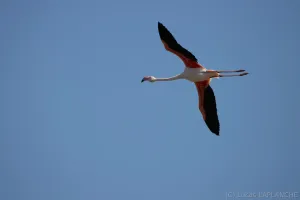 01102025-IMG_7007.jpg