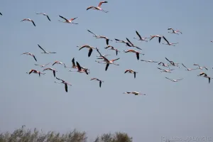 01102025-IMG_7071.jpg