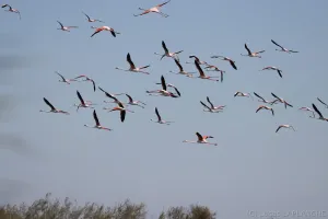 01102025-IMG_7072.jpg