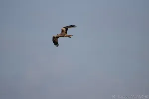 02102025-IMG_7102.jpg