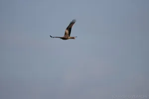 02102025-IMG_7103.jpg