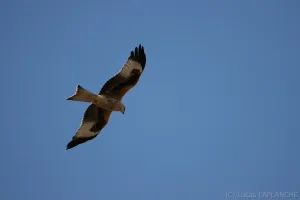 02102025-IMG_7133.jpg
