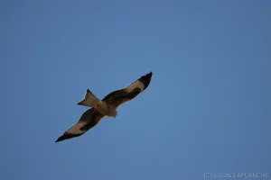 02102025-IMG_7135.jpg