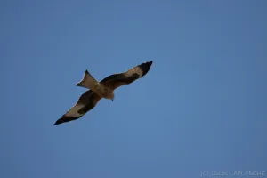 02102025-IMG_7136.jpg