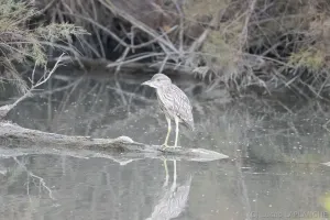03102025-IMG_7440.jpg