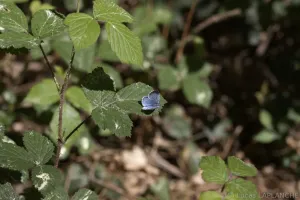 IMG_8319_edited.jpg